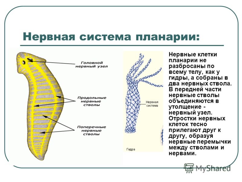 Кракен пользователь не найден что делать